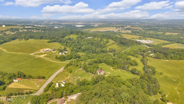 9010 Blue Springs Pkwy, Mosheim, TN 37818 - photo 10