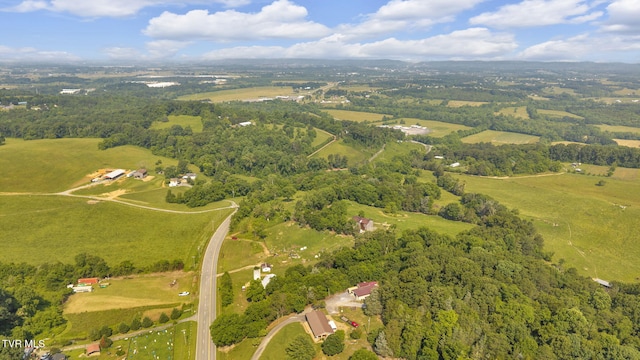 9010 Blue Springs Pkwy, Mosheim, TN 37818 - photo 11