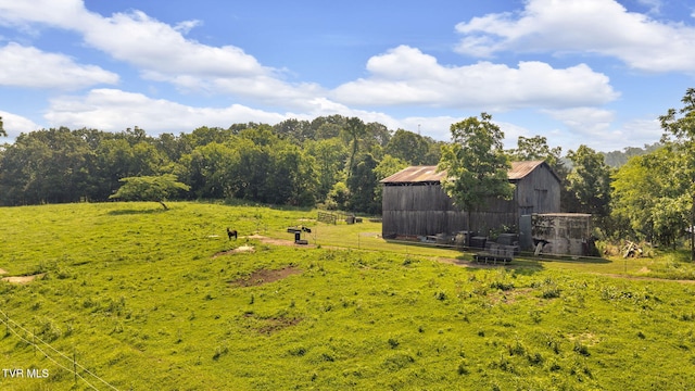 9010 Blue Springs Pkwy, Mosheim, TN 37818 - photo 14
