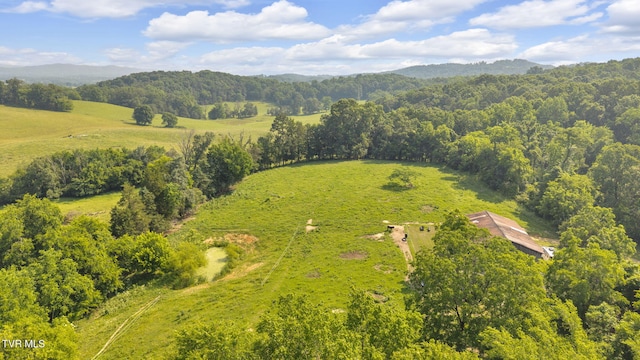 9010 Blue Springs Pkwy, Mosheim, TN 37818 - photo 15