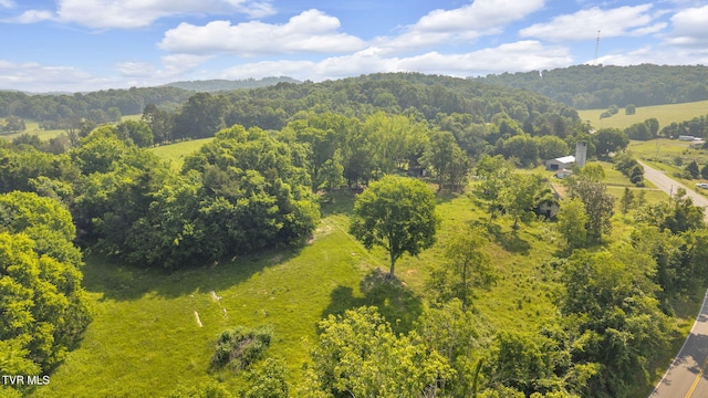 9010 Blue Springs Pkwy, Mosheim, TN 37818 - photo 16