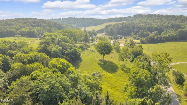 9010 Blue Springs Pkwy, Mosheim, TN 37818 - photo 17