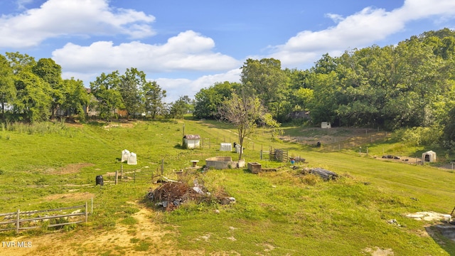 9010 Blue Springs Pkwy, Mosheim, TN 37818 - photo 22