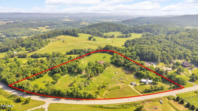 9010 Blue Springs Pkwy, Mosheim, TN 37818 - photo 30