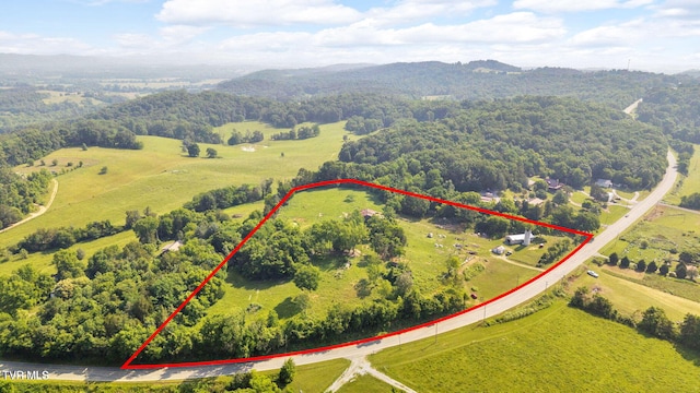 9010 Blue Springs Pkwy, Mosheim, TN 37818 - photo 31