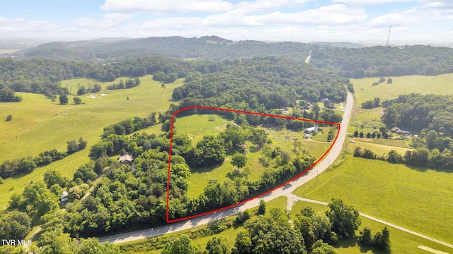 9010 Blue Springs Pkwy, Mosheim, TN 37818 - photo 32