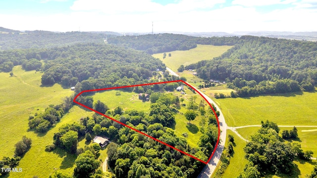 9010 Blue Springs Pkwy, Mosheim, TN 37818 - photo 33