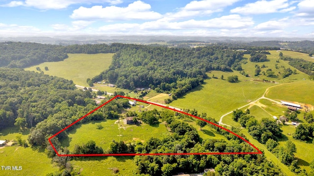 9010 Blue Springs Pkwy, Mosheim, TN 37818 - photo 34