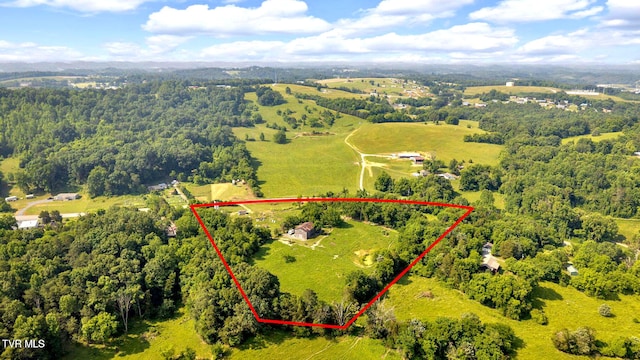 9010 Blue Springs Pkwy, Mosheim, TN 37818 - photo 36