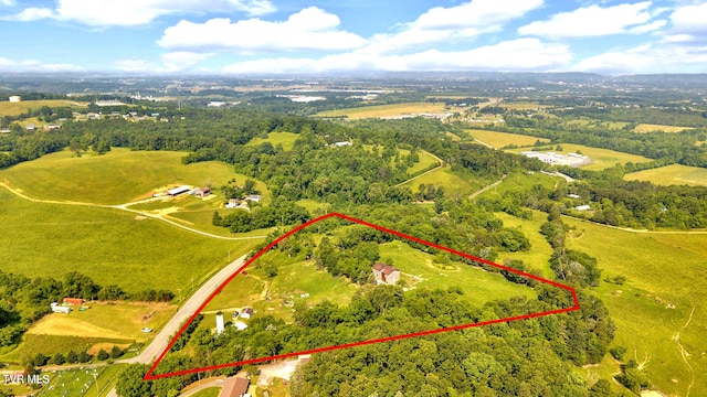 9010 Blue Springs Pkwy, Mosheim, TN 37818 - photo 38