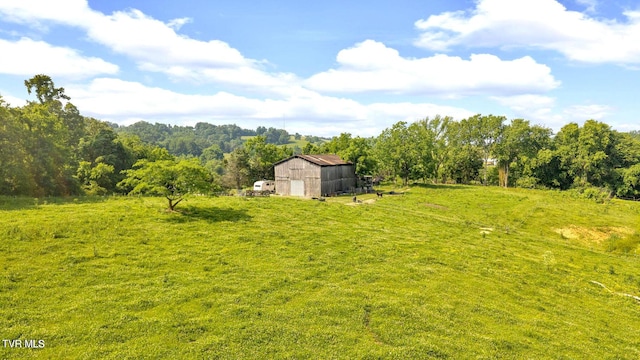 9010 Blue Springs Pkwy, Mosheim, TN 37818 - photo 40