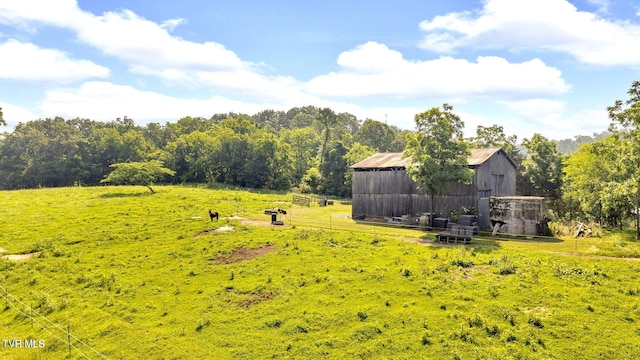 9010 Blue Springs Pkwy, Mosheim, TN 37818 - photo 43
