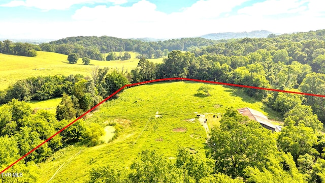 9010 Blue Springs Pkwy, Mosheim, TN 37818 - photo 44