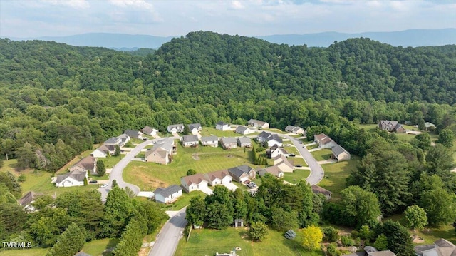 215 Brighton Pl, Bristol, TN 37620