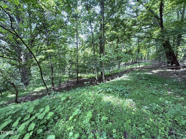 5.74ACRES Bailey Cemetery Rd, Tazewell, TN 37879 - photo 1