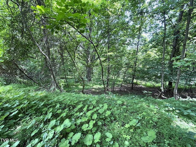 5.74ACRES Bailey Cemetery Rd, Tazewell, TN 37879 - photo 2