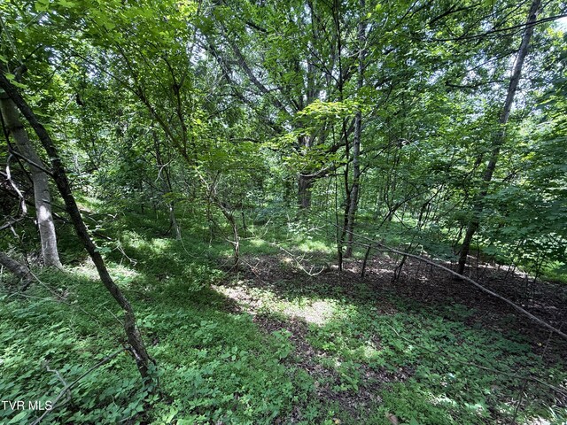 5.74ACRES Bailey Cemetery Rd, Tazewell, TN 37879 - photo 3