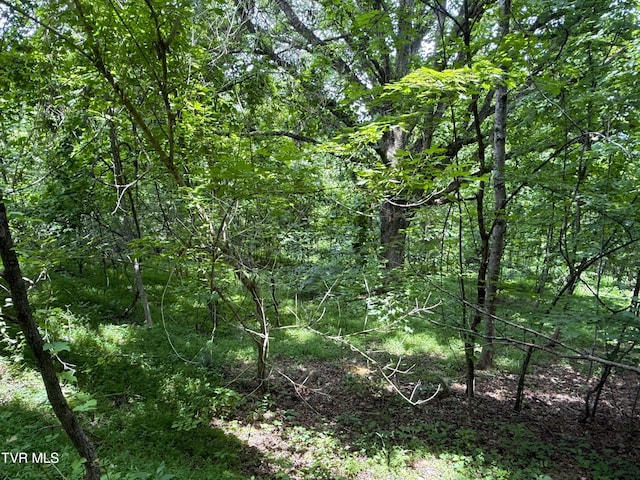 5.74ACRES Bailey Cemetery Rd, Tazewell, TN 37879 - photo 4