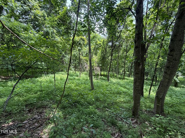 5.74ACRES Bailey Cemetery Rd, Tazewell, TN 37879 - photo 5