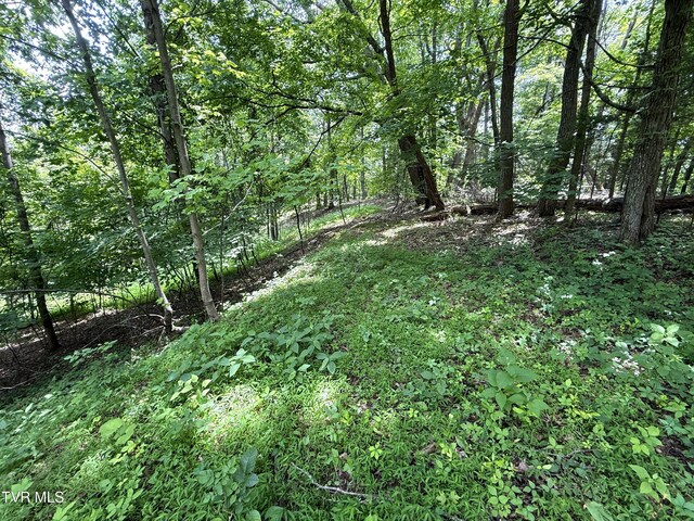 5.74ACRES Bailey Cemetery Rd, Tazewell, TN 37879 - photo 6