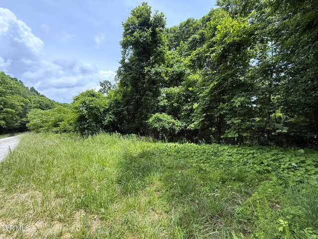 5.74ACRES Bailey Cemetery Rd, Tazewell, TN 37879 - photo 7