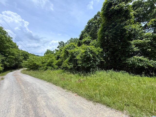 5.74ACRES Bailey Cemetery Rd, Tazewell, TN 37879 - photo 8