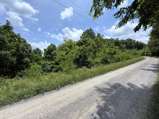 5.74ACRES Bailey Cemetery Rd, Tazewell, TN 37879 - photo 11