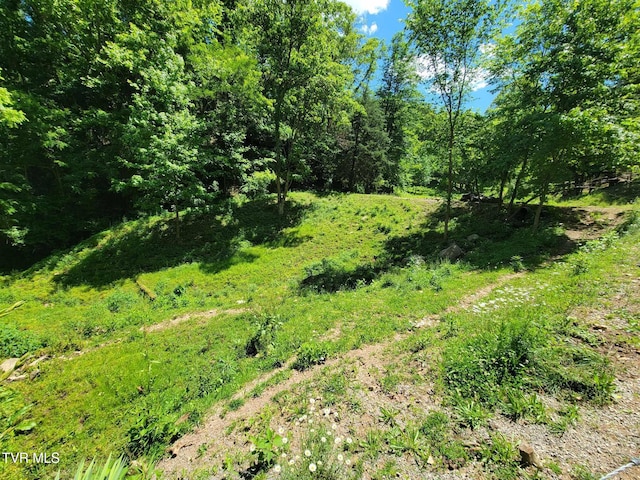TRACT7 Sandy Valley Rd, Rogersville, TN 37857 - photo 1
