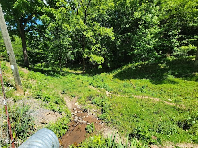 TRACT7 Sandy Valley Rd, Rogersville, TN 37857 - photo 2