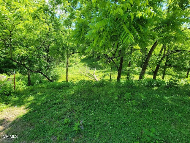 TRACT7 Sandy Valley Rd, Rogersville, TN 37857 - photo 4