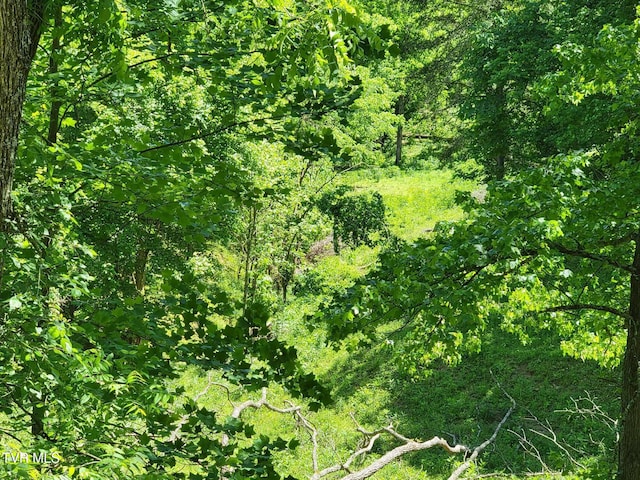 TRACT7 Sandy Valley Rd, Rogersville, TN 37857 - photo 5