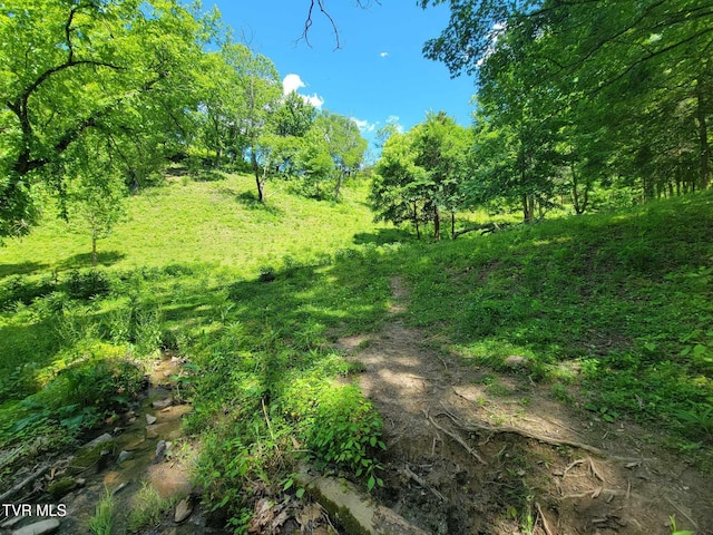 TRACT7 Sandy Valley Rd, Rogersville, TN 37857 - photo 7