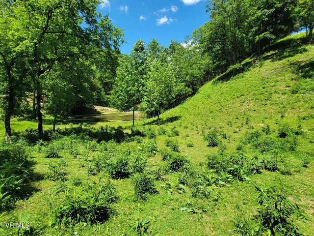 TRACT7 Sandy Valley Rd, Rogersville, TN 37857 - photo 8