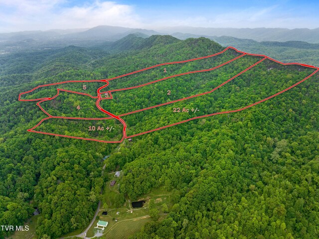TRACT7 Sandy Valley Rd, Rogersville, TN 37857 - photo 9