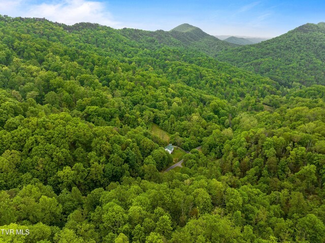 TRACT7 Sandy Valley Rd, Rogersville, TN 37857 - photo 10