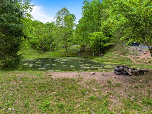 TRACT7 Sandy Valley Rd, Rogersville, TN 37857 - photo 12