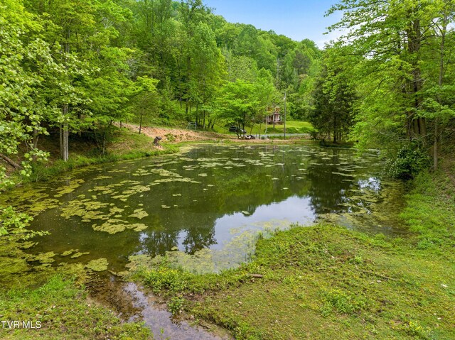 TRACT7 Sandy Valley Rd, Rogersville, TN 37857 - photo 13
