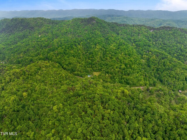 TRACT7 Sandy Valley Rd, Rogersville, TN 37857 - photo 14