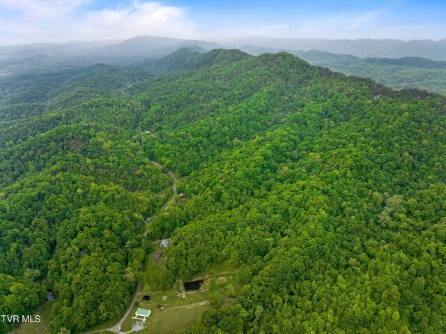 TRACT7 Sandy Valley Rd, Rogersville, TN 37857 - photo 15