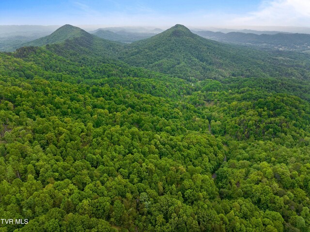 TRACT7 Sandy Valley Rd, Rogersville, TN 37857 - photo 16