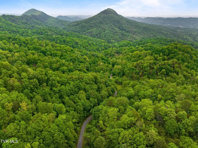 TRACT7 Sandy Valley Rd, Rogersville, TN 37857 - photo 17