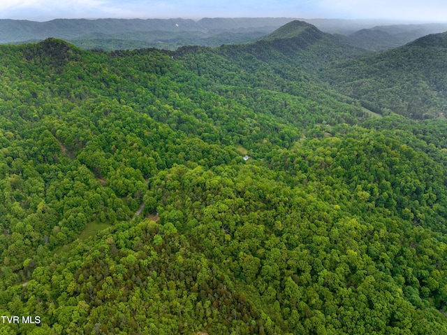 TRACT7 Sandy Valley Rd, Rogersville, TN 37857 - photo 18