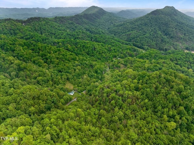 TRACT7 Sandy Valley Rd, Rogersville, TN 37857 - photo 19
