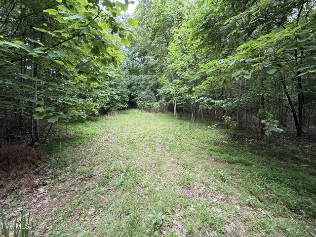 1808 Island Rd, Blountville, TN 37617 - photo 1