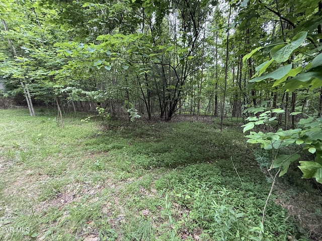 1808 Island Rd, Blountville, TN 37617 - photo 2