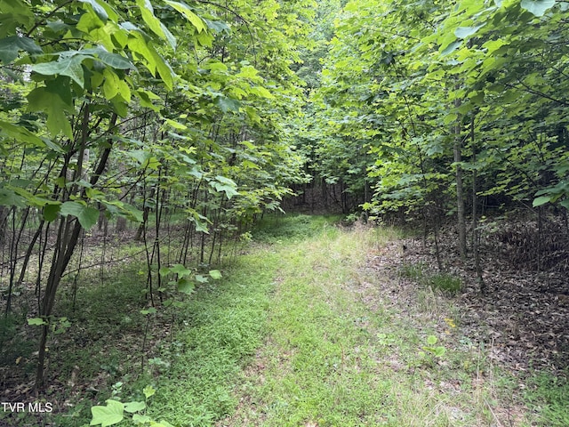 1808 Island Rd, Blountville, TN 37617 - photo 3