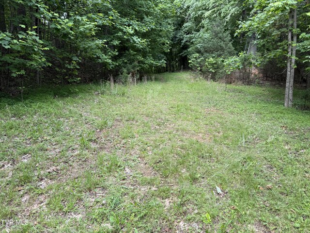 1808 Island Rd, Blountville, TN 37617 - photo 4