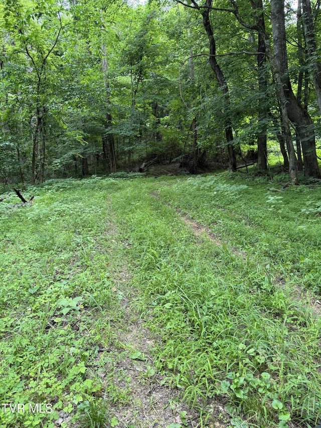 1808 Island Rd, Blountville, TN 37617 - photo 6
