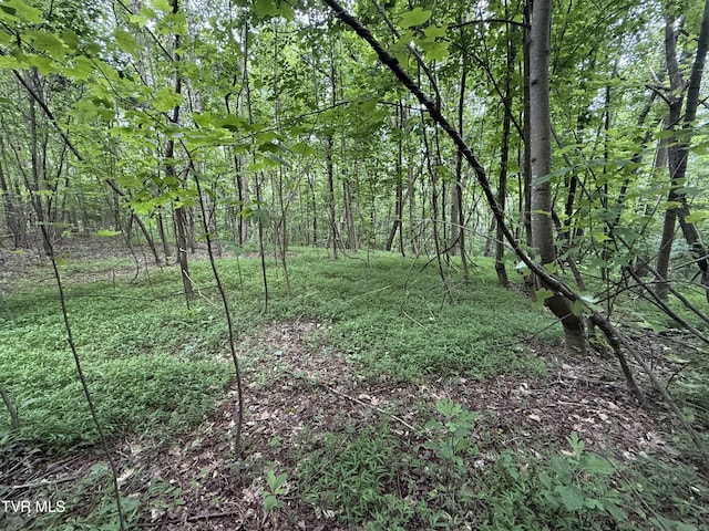 1808 Island Rd, Blountville, TN 37617 - photo 8
