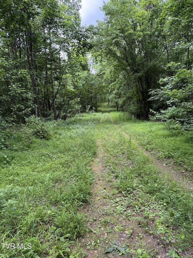 1808 Island Rd, Blountville, TN 37617 - photo 7
